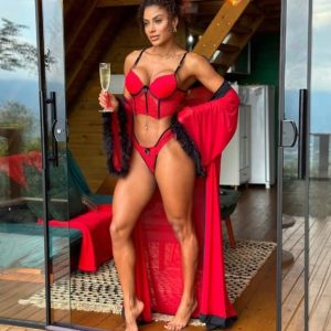 Cropped  e Calcinha em Renda ( Robe não Incluso)
