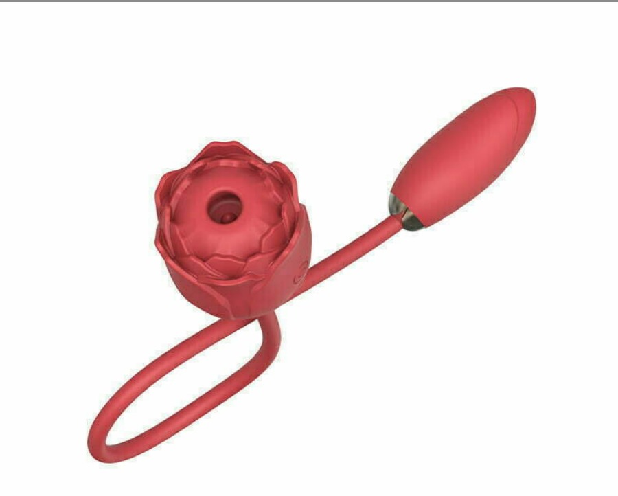 L&Z – Vibrador Duplo com Estimulador de Clitóris Formato ROSA Com Sucção e Vibração Recarregável